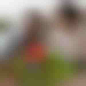 Magnetyczne kostki minicraft (48 szt.) | MAGCRAFTI